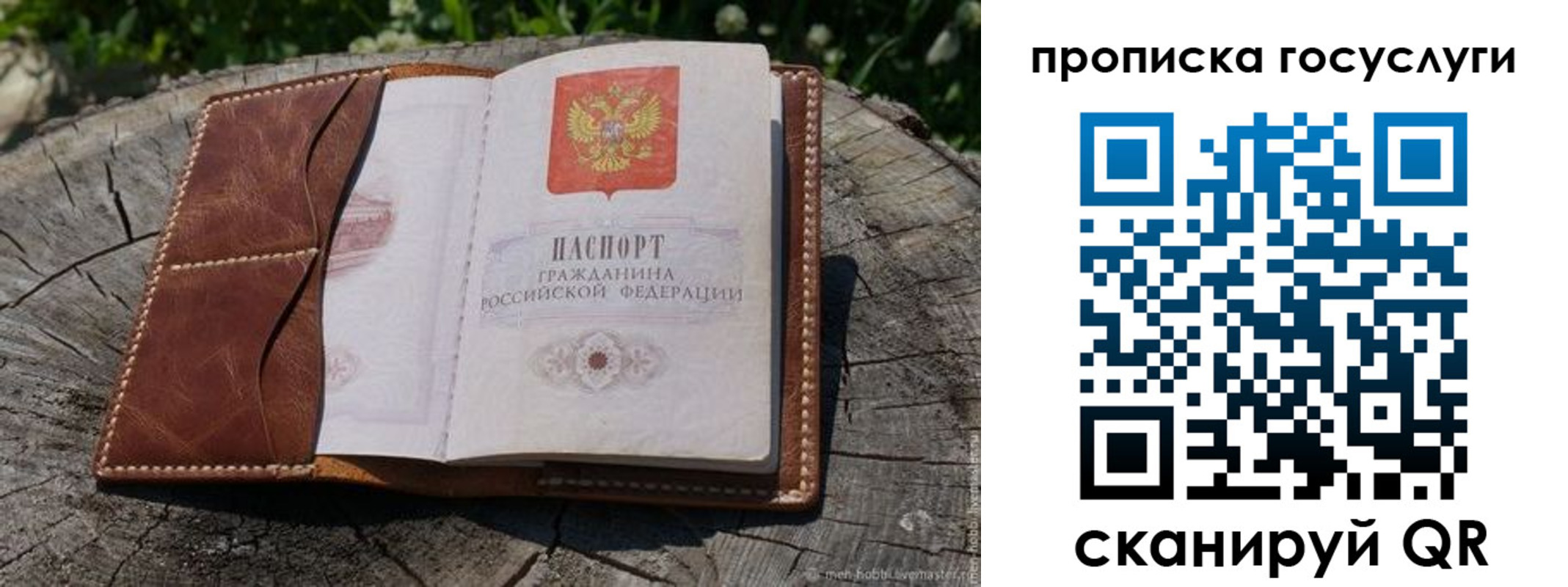 прописка для школы в Гурьевске